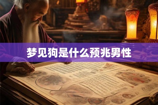 梦见狗是什么预兆男性