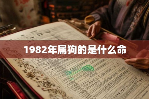 1982年属狗的是什么命 1982年属狗的是什么命