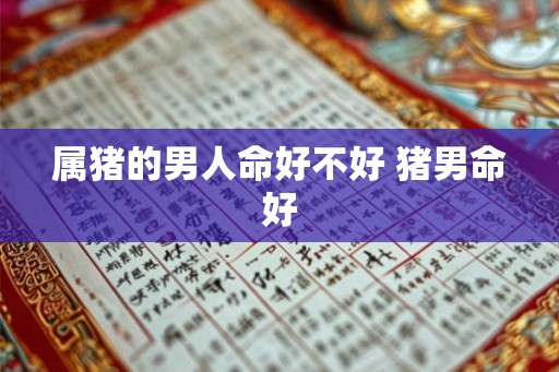 属猪的男人命好不好 猪男命好