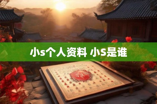 小s个人资料 小S是谁