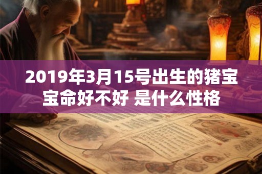 2019年3月15号出生的猪宝宝命好不好 是什么性格