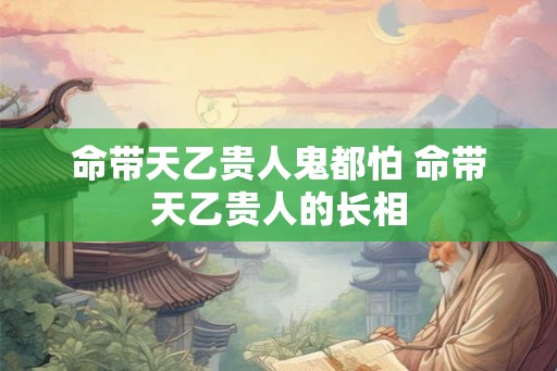 命带天乙贵人鬼都怕 命带天乙贵人的长相 命带天乙贵人鬼都怕 命带天乙贵人的长相
