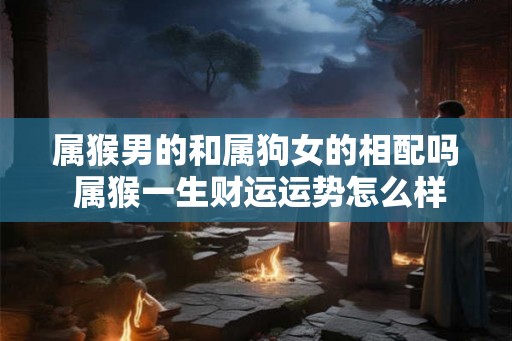 属猴男的和属狗女的相配吗 属猴一生财运运势怎么样