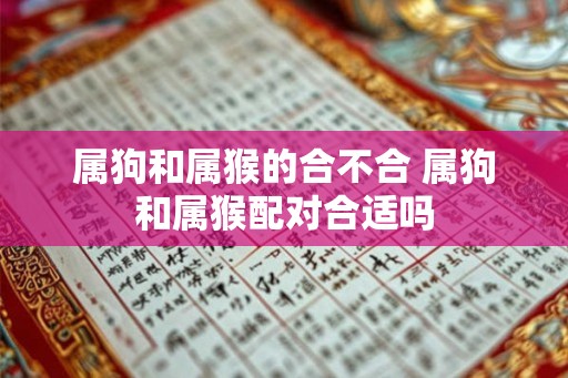 属狗和属猴的合不合 属狗和属猴配对合适吗