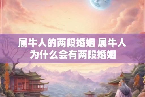 属牛人的两段婚姻 属牛人为什么会有两段婚姻