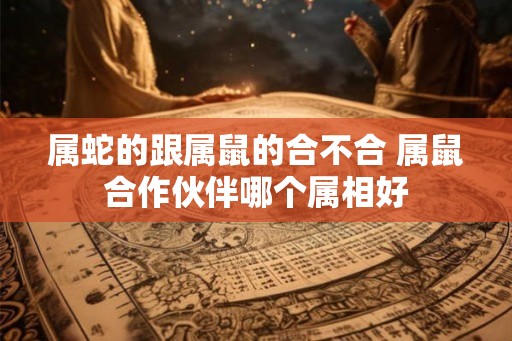 属蛇的跟属鼠的合不合 属鼠合作伙伴哪个属相好