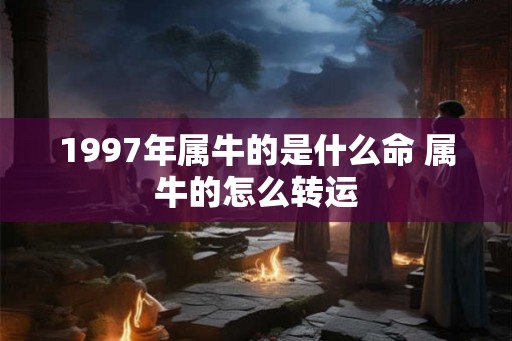 1997年属牛的是什么命 属牛的怎么转运
