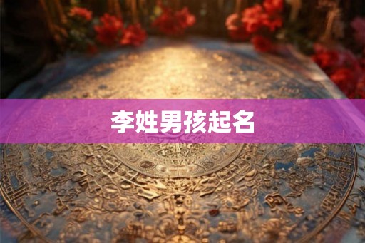 李姓男孩起名