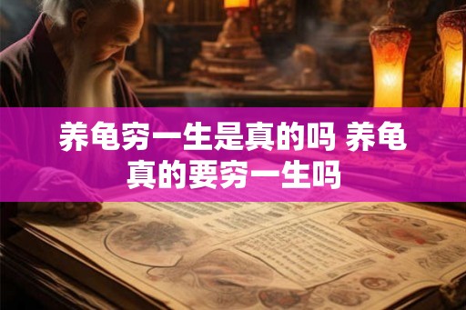 养龟穷一生是真的吗 养龟真的要穷一生吗