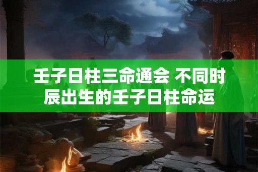 壬子日柱三命通会 不同时辰出生的壬子日柱命运