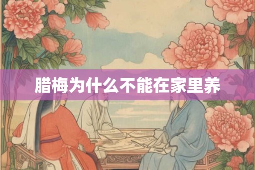 腊梅为什么不能在家里养 腊梅为什么不能在家里养