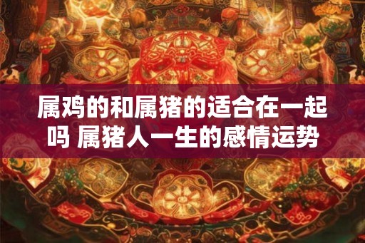 属鸡的和属猪的适合在一起吗 属猪人一生的感情运势如何