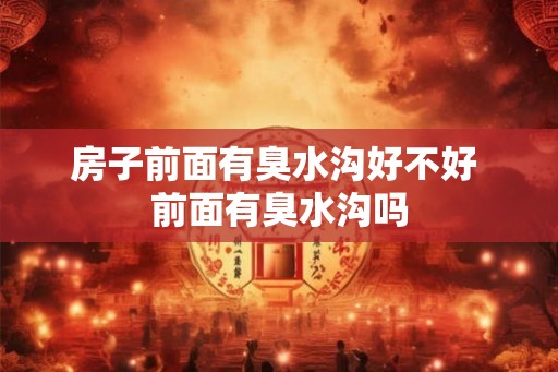 房子前面有臭水沟好不好 前面有臭水沟吗