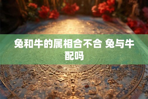 兔和牛的属相合不合 兔与牛配吗