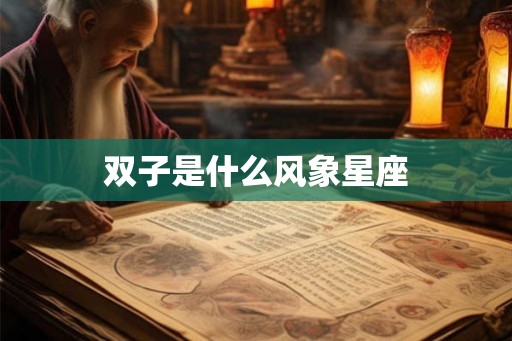 双子是什么风象星座