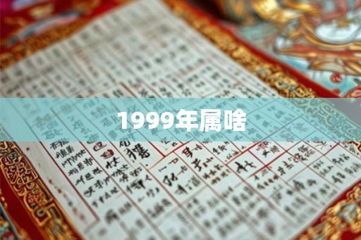 1999年属啥