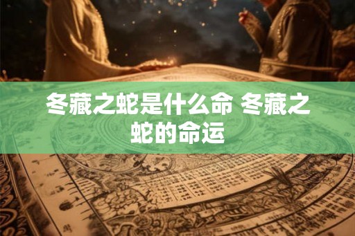 冬藏之蛇是什么命 冬藏之蛇的命运