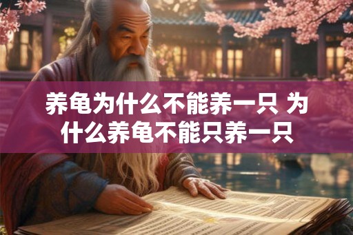 养龟为什么不能养一只 为什么养龟不能只养一只