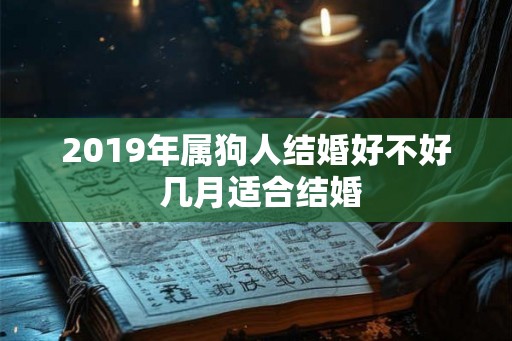 2019年属狗人结婚好不好 几月适合结婚