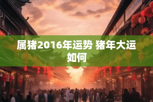 属猪2016年运势 猪年大运如何
