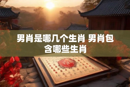 男肖是哪几个生肖 男肖包含哪些生肖
