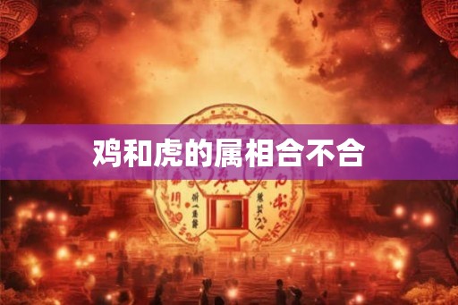鸡和虎的属相合不合
