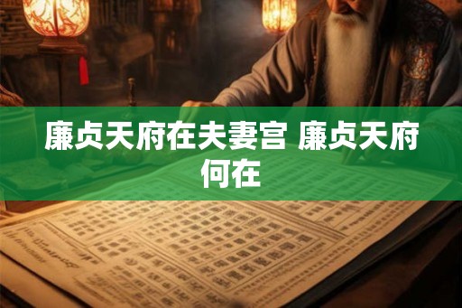 廉贞天府在夫妻宫 廉贞天府何在