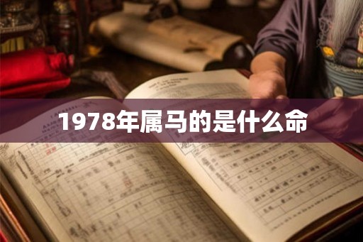 1978年属马的是什么命