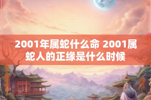 2001年属蛇什么命 2001属蛇人的正缘是什么时候