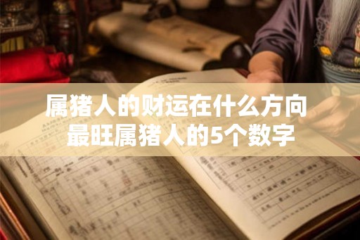 属猪人的财运在什么方向 最旺属猪人的5个数字