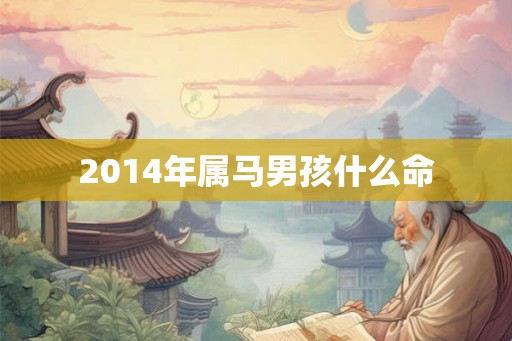 2014年属马男孩什么命