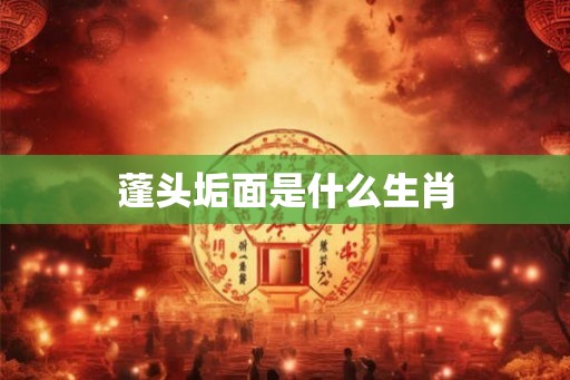 蓬头垢面是什么生肖