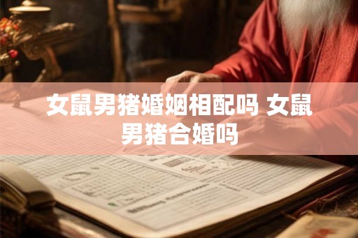 女鼠男猪婚姻相配吗 女鼠男猪合婚吗 女鼠男猪婚姻相配吗 女鼠男猪合婚吗