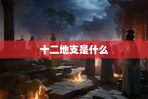 十二地支是什么