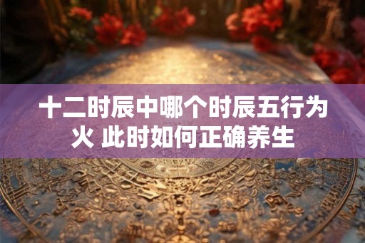 十二时辰中哪个时辰五行为火 此时如何正确养生