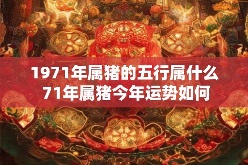 1971年属猪的五行属什么 71年属猪今年运势如何 1971年属猪的五行属什么 71年属猪今年运势如何