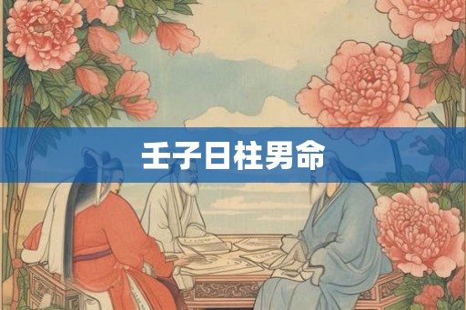 壬子日柱男命