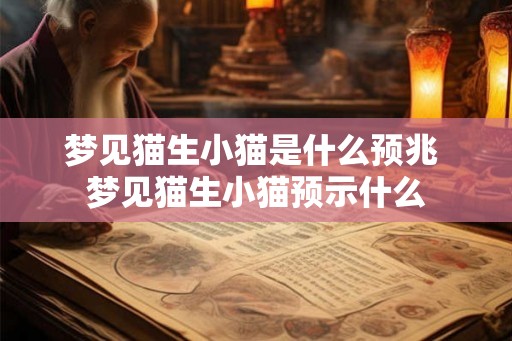 梦见猫生小猫是什么预兆 梦见猫生小猫预示什么 梦见猫生小猫是什么预兆 梦见猫生小猫预示什么