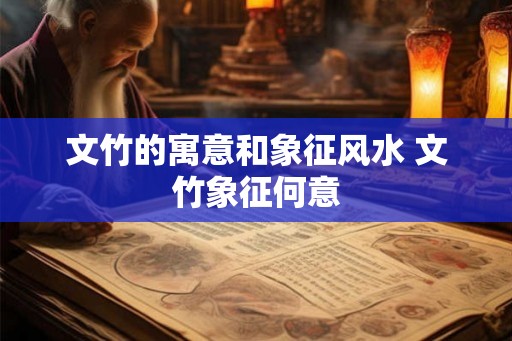 文竹的寓意和象征风水 文竹象征何意