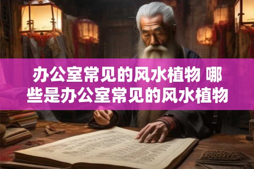 办公室常见的风水植物 哪些是办公室常见的风水植物