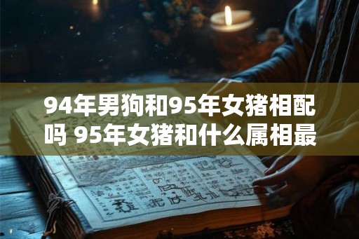 94年男狗和95年女猪相配吗 95年女猪和什么属相最配