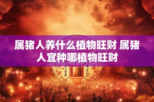 属猪人养什么植物旺财 属猪人宜种哪植物旺财