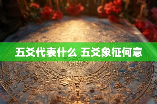 五爻代表什么 五爻象征何意