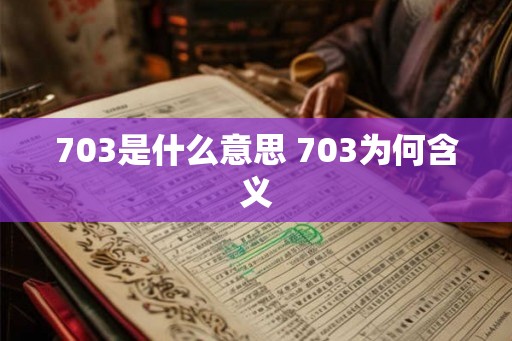 703是什么意思 703为何含义
