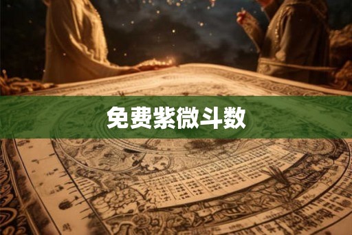 免费紫微斗数