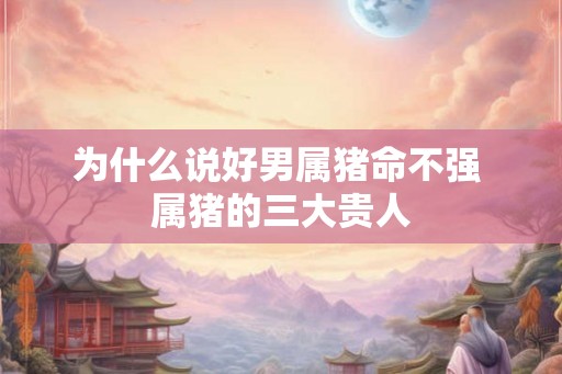 为什么说好男属猪命不强 属猪的三大贵人