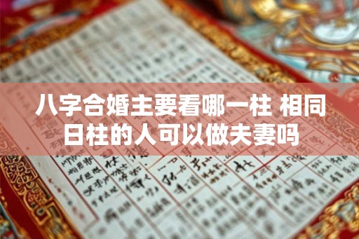 八字合婚主要看哪一柱 相同日柱的人可以做夫妻吗