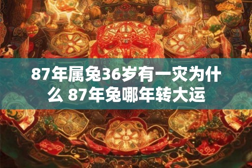 87年属兔36岁有一灾为什么 87年兔哪年转大运