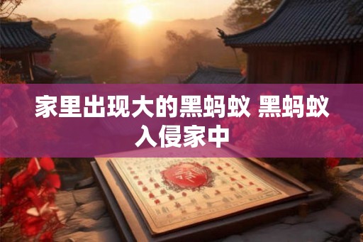 家里出现大的黑蚂蚁 黑蚂蚁入侵家中