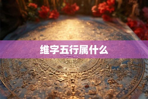 维字五行属什么